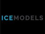 Ice Models