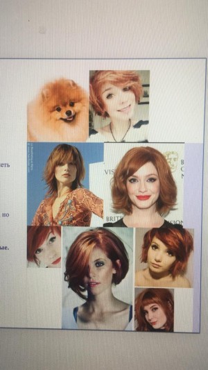 Dilavo - Кастинг Бравекто (для собак), Видеоролик,  требуются женщины, возраст 23 - 27 лет, гонорар 40 тыс- 20% агент, приём заявок до 24.08.2019 23:00