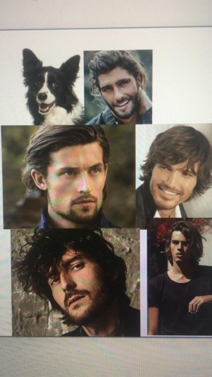 Dilavo - Кастинг Бравекто (для собак), Видеоролик,  требуются мужчины, возраст 18 - 26 лет, гонорар 40 тыс- 20% агент, приём заявок до 24.08.2019 23:00