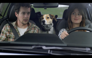 Dilavo - Кастинг Рекламный ролик мобильного приложения по доставке, Видеоролик,  требуются женщины, возраст 33 - 38 лет, гонорар 50000 рублей, приём заявок до 04.08.2020 00:00