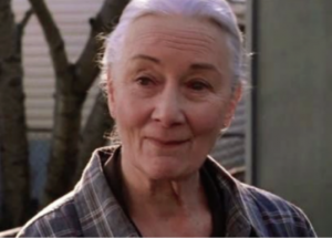 Dilavo - Кастинг Реклама интернет-сайта о товарах и услугах, Видеоролик,  требуются женщины, возраст 55 - 70 лет, гонорар 70000 рублей, приём заявок до 14.03.2018 00:00